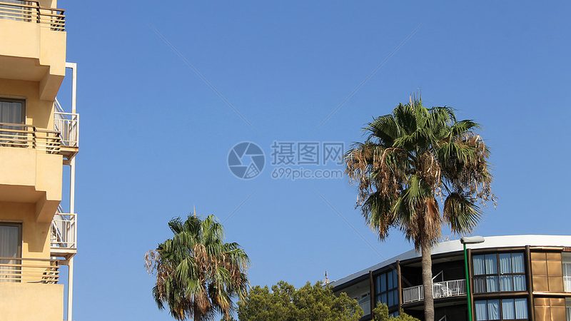 度假村应急预案：构建安全度假的坚实防线**